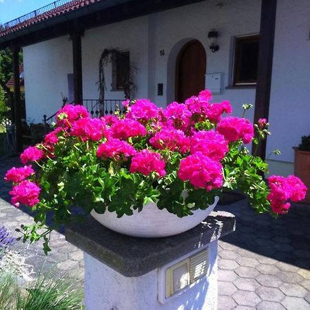 Haus Saentisblick Apartman Eriskirch Kültér fotó